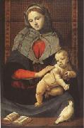 Piero di Cosimo The Virgin and Child with a Dove (mk05) China oil painting reproduction